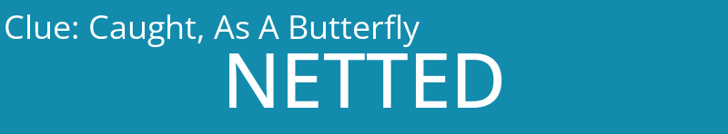 Caught, As A Butterfly