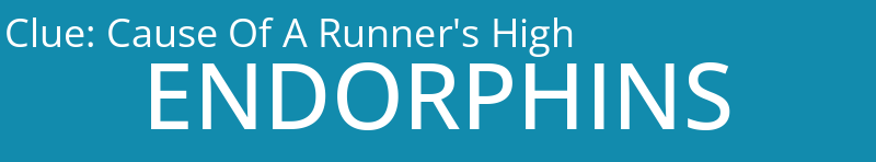Cause Of A Runner's High