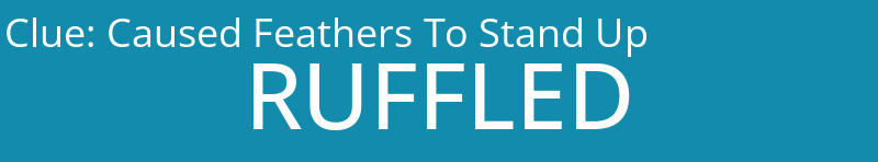 Caused Feathers To Stand Up