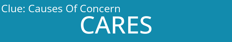 Causes Of Concern
