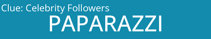 Celebrity Followers