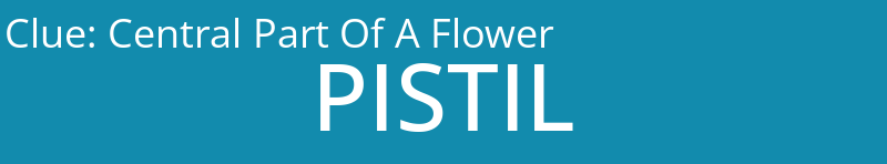 Central Part Of A Flower