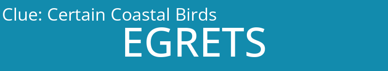 Certain Coastal Birds