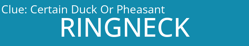 Certain Duck Or Pheasant