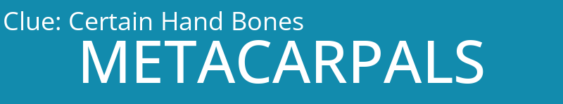 Certain Hand Bones