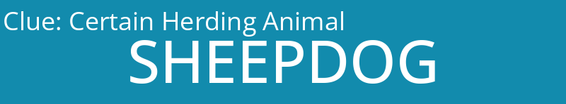 Certain Herding Animal