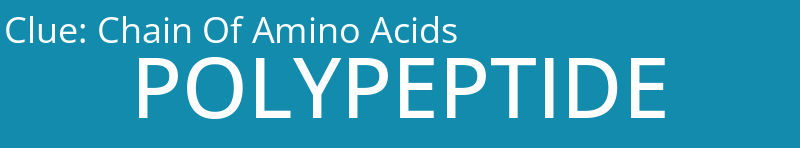 Chain Of Amino Acids