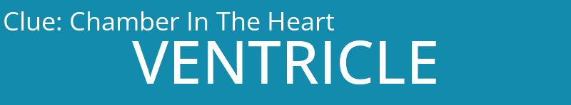 Chamber In The Heart