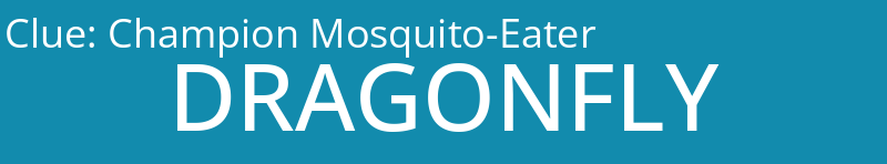 Champion Mosquito-Eater