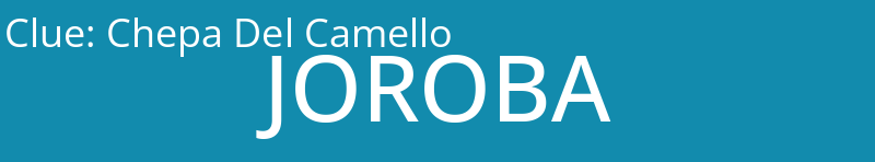 Chepa Del Camello