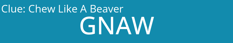Chew Like A Beaver
