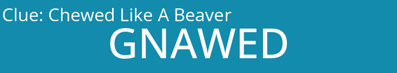 Chewed Like A Beaver