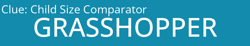 Child Size Comparator