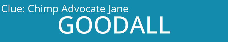 Chimp Advocate Jane