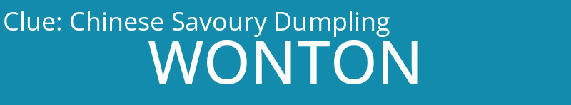 Chinese Savoury Dumpling