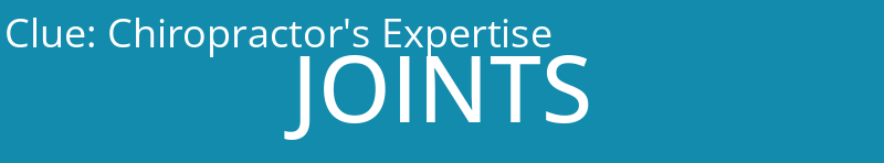 Chiropractor's Expertise