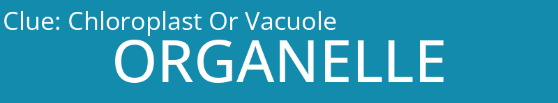 Chloroplast Or Vacuole