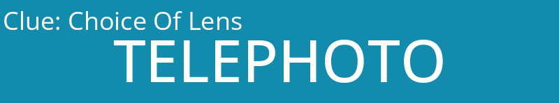 Choice Of Lens