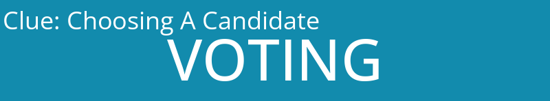 Choosing A Candidate