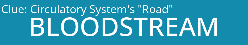 Circulatory System's "Road"