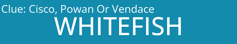 Cisco, Powan Or Vendace