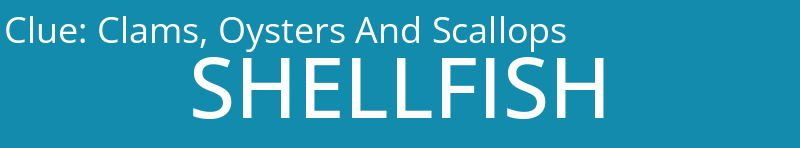 Clams, Oysters And Scallops