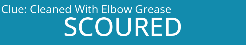 Cleaned With Elbow Grease