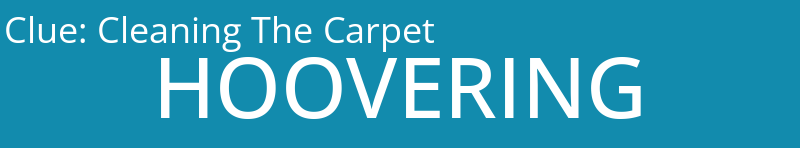 Cleaning The Carpet