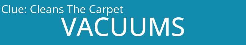 Cleans The Carpet