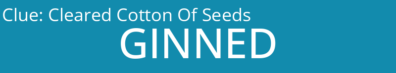 Cleared Cotton Of Seeds