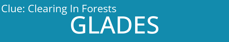 Clearing In Forests