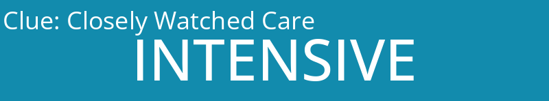 Closely Watched Care