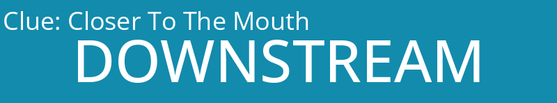 Closer To The Mouth