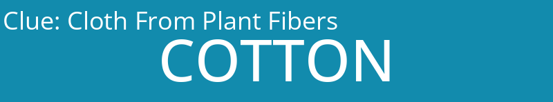 Cloth From Plant Fibers