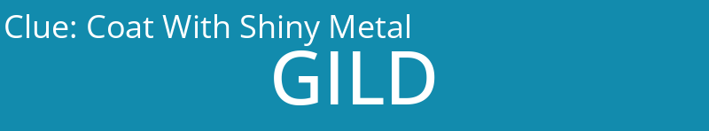 Coat With Shiny Metal