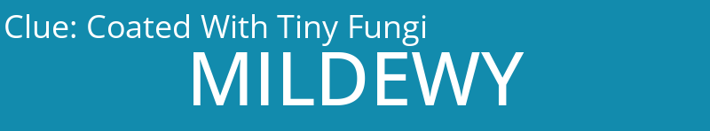 Coated With Tiny Fungi