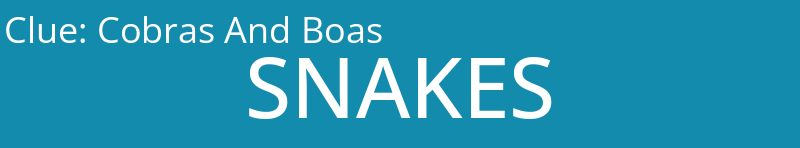 Cobras And Boas
