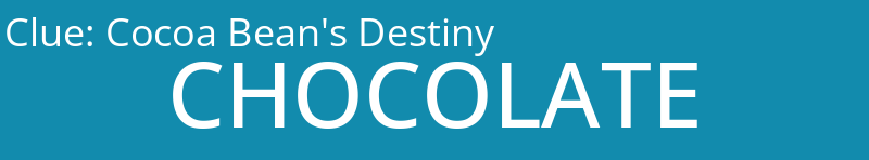 Cocoa Bean's Destiny