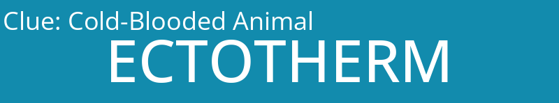 Cold-Blooded Animal