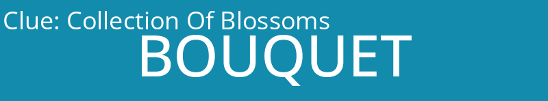 Collection Of Blossoms