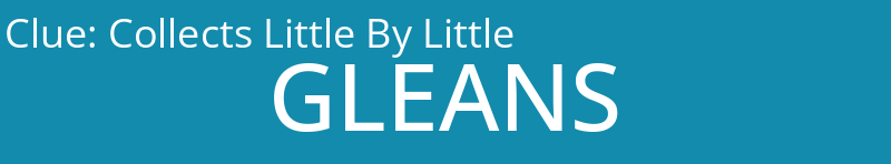 Collects Little By Little