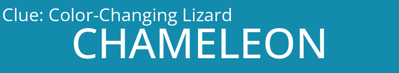 Color-Changing Lizard
