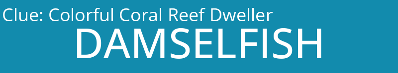 Colorful Coral Reef Dweller