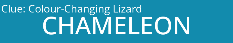 Colour-Changing Lizard
