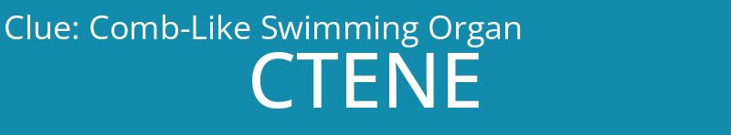 Comb-Like Swimming Organ