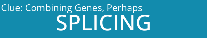 Combining Genes, Perhaps