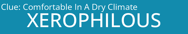 Comfortable In A Dry Climate