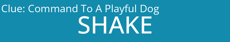 Command To A Playful Dog