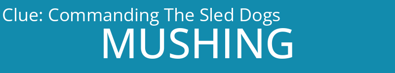 Commanding The Sled Dogs