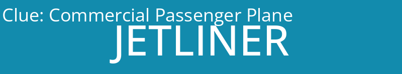 Commercial Passenger Plane